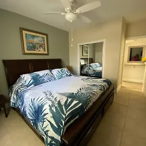  Apartment Beautiful In Tampa-a